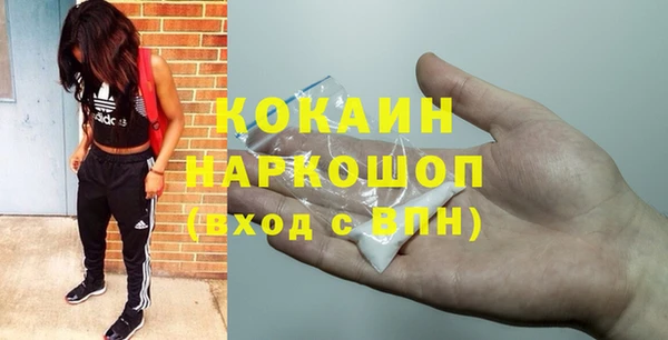 прущие грибы Каменногорск