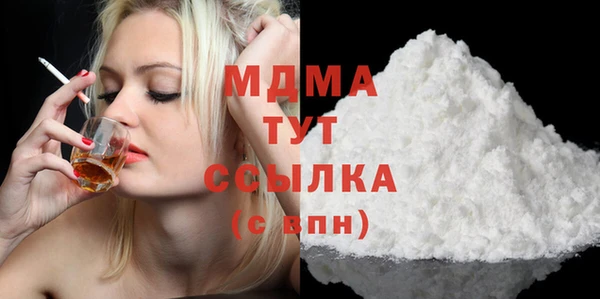 прущие грибы Каменногорск