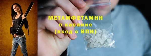 прущие грибы Каменногорск