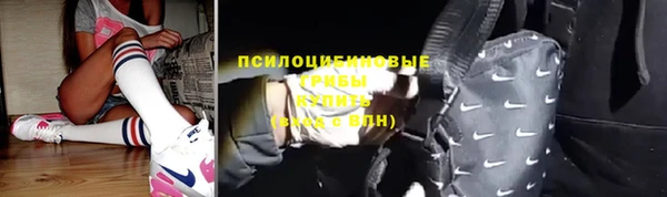 MESCALINE Каменка