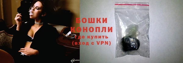 прущие грибы Каменногорск