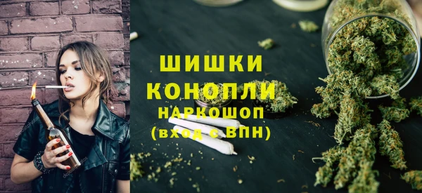 прущие грибы Каменногорск
