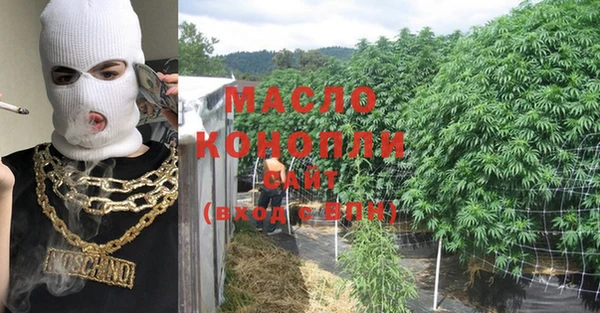 прущие грибы Каменногорск