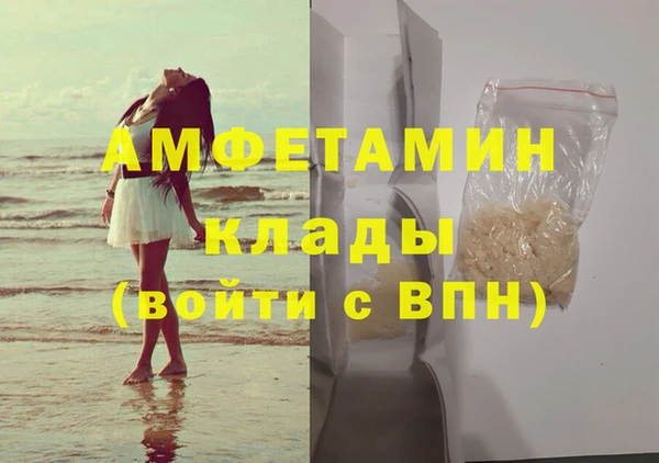 прущие грибы Каменногорск