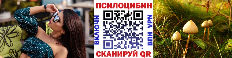 Псилоцибиновые грибы мицелий  Купить где  Олёкминск 