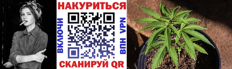 Купить где  Олёкминск  Бошки Шишки SATIVA & INDICA 
